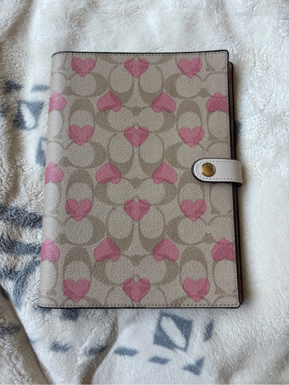 Coach Notebook Folio in Signature Canvas with Stripe Heart Print